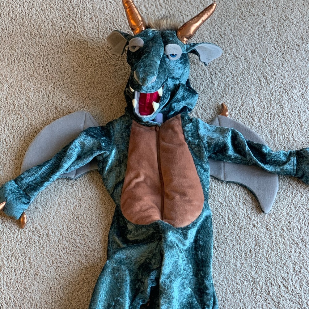 Kids Dragon Costume